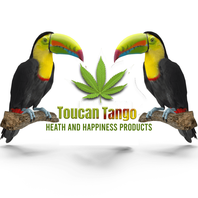 toucan tango logo design